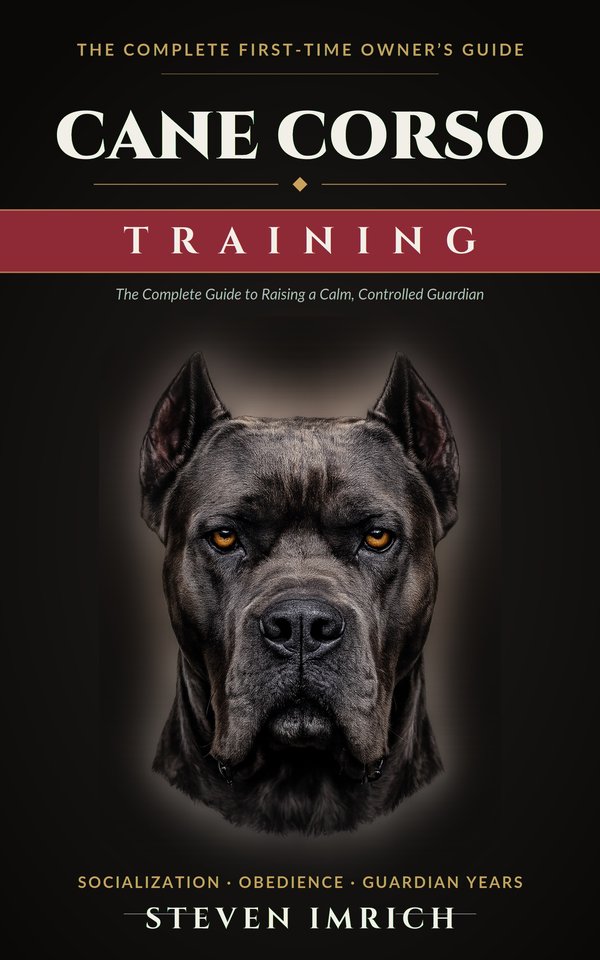 Cover of Cane Corso Training